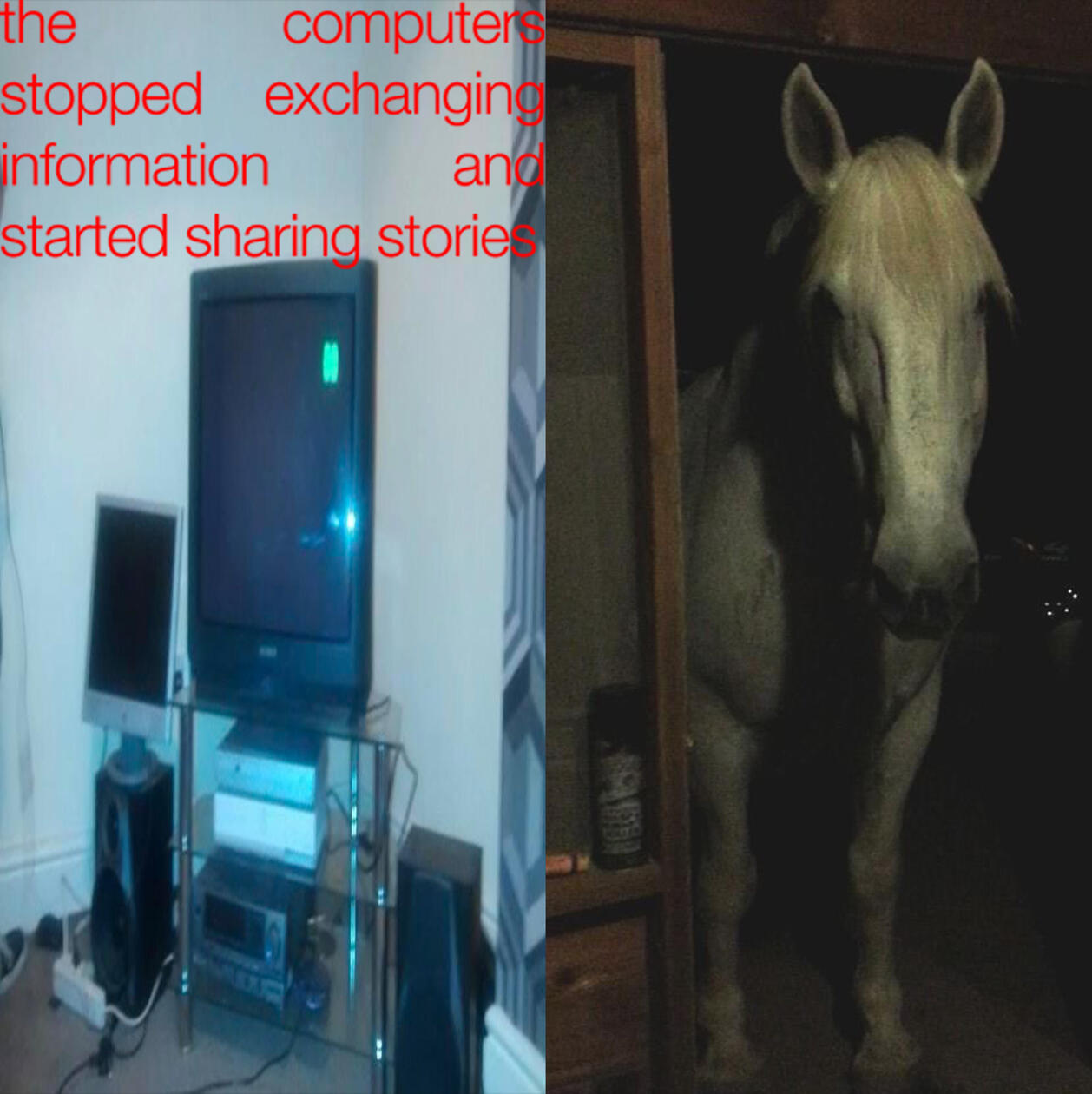 "visitor" (4000x4000px, photo collage, 2024)