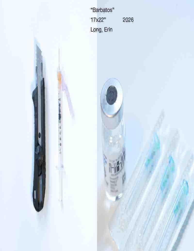 "barbatos" (17x22", inkjet print 2026)