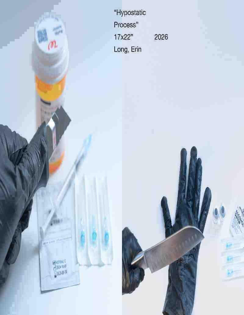 "hypostatic process" (17x22", inkjet print 2026)