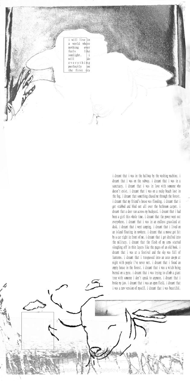 "retinol tapestry" (10x20", mixed media digital, 2025)