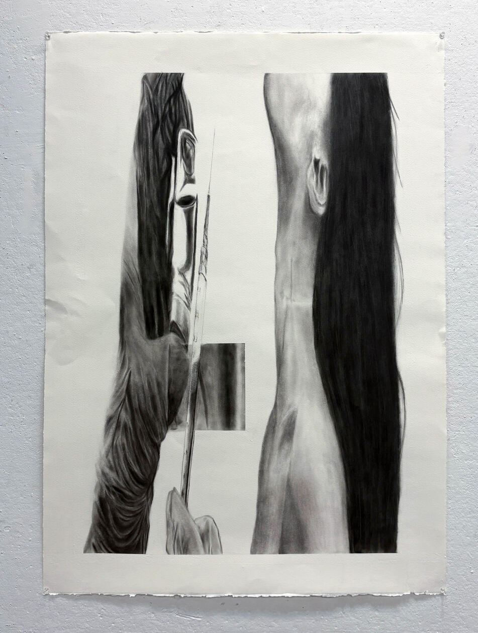 "trespassers" (28x40", brushed charcoal on watercolor paper 2025)